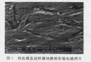圖5熱處理態試樣腐蝕磨損形貌電鏡照片.jpg